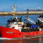 Repunte: una sentencia que deja más dudas que respuestas